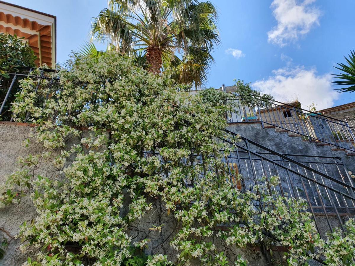 Borgo San Francesco Hotel Gioiosa Marea Ngoại thất bức ảnh