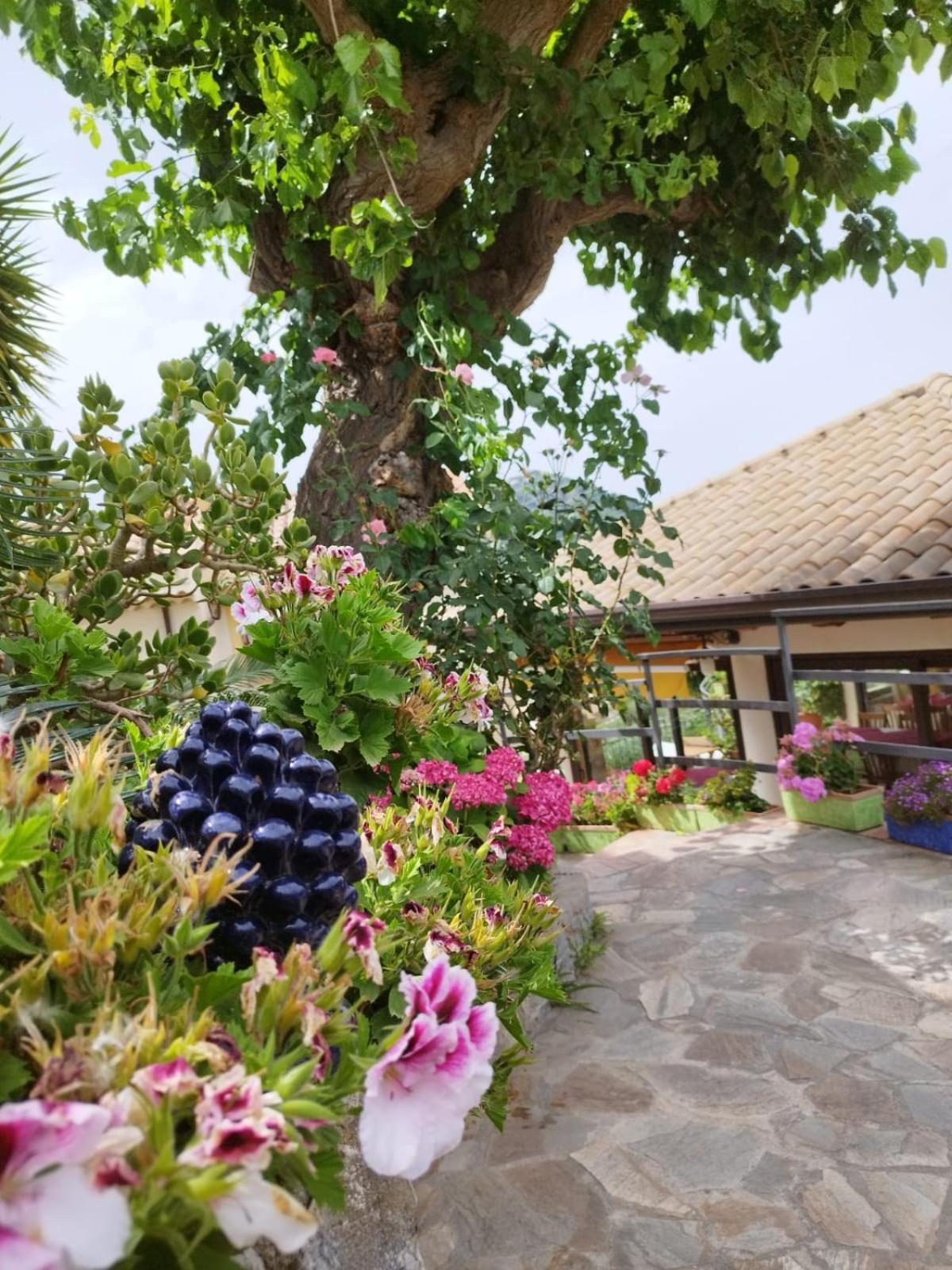 Borgo San Francesco Hotel Gioiosa Marea Ngoại thất bức ảnh